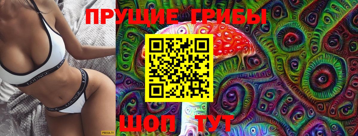 Псилоцибиновые грибы Psilocybine cubensis  Галлюциногенные грибы Psilocybine cubensis  Вход с VPN  Тамбов 