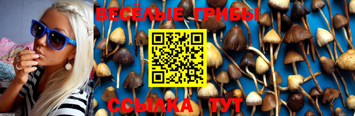 Галлюциногенные грибы Cubensis Тамбов