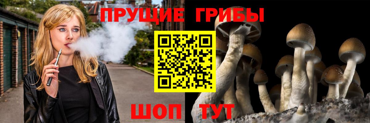 Метадон Тамбов